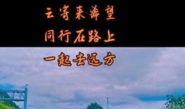 最新浔阳夜话爆料,揭秘娱乐圈不为人知的秘密