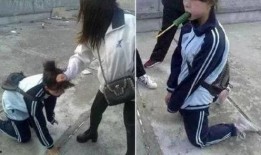 肇东最新爆料事件,事件真相揭秘，疑云重重引关注