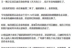 娱乐事件最新爆料写进作文,最新爆料揭秘神秘事件